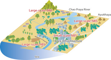 New publication from RECONECT: Article in the Science of The Total Environment –