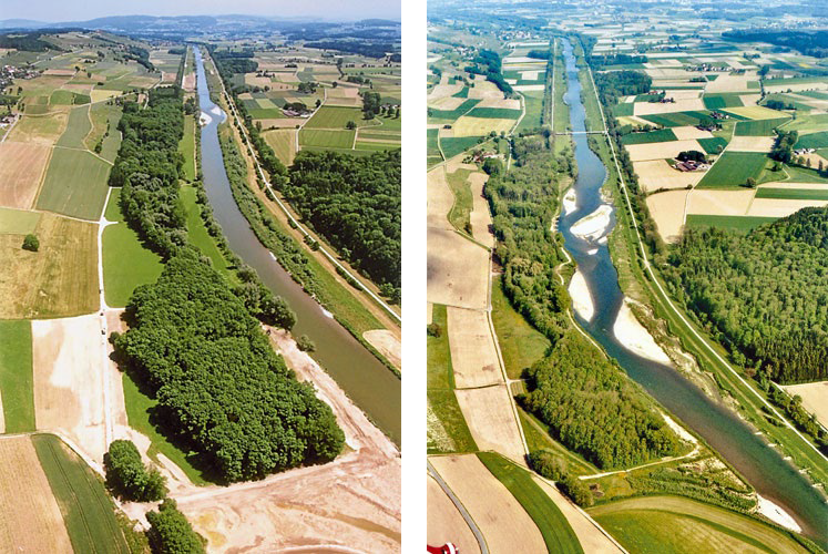 Thur river at Niederneunforn. Before and after restoration